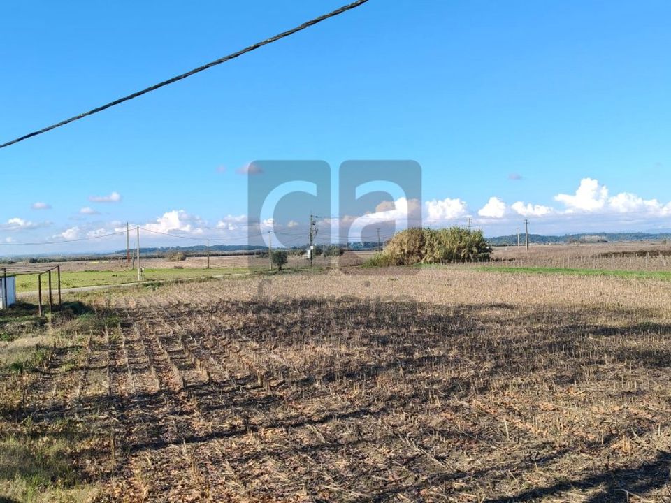 Helårsgrund i Alpiarca, Santarem - foto 5