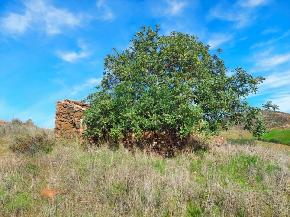 Villa i Castro Marim, Faro - foto 3