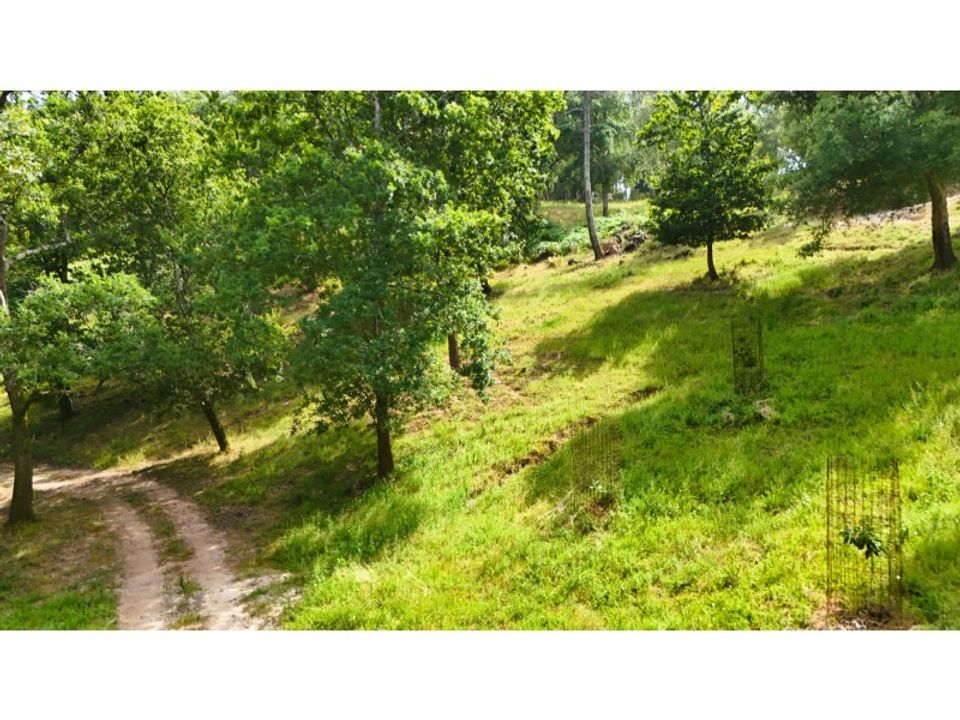 Farm i Alcobaca, Leiria - foto 2