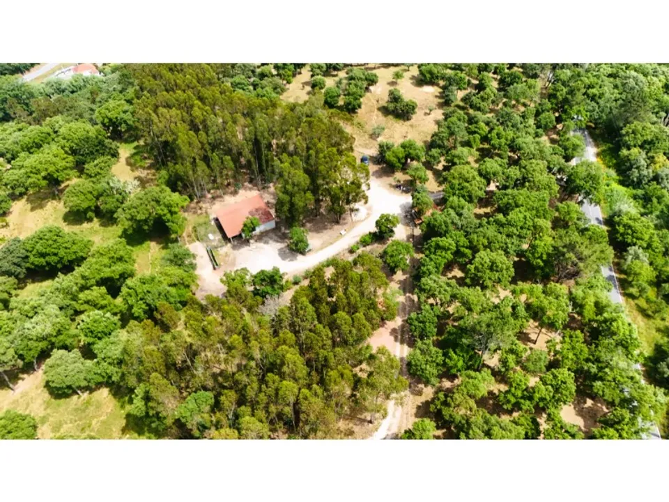 Farm i Alcobaca, Leiria - foto 3