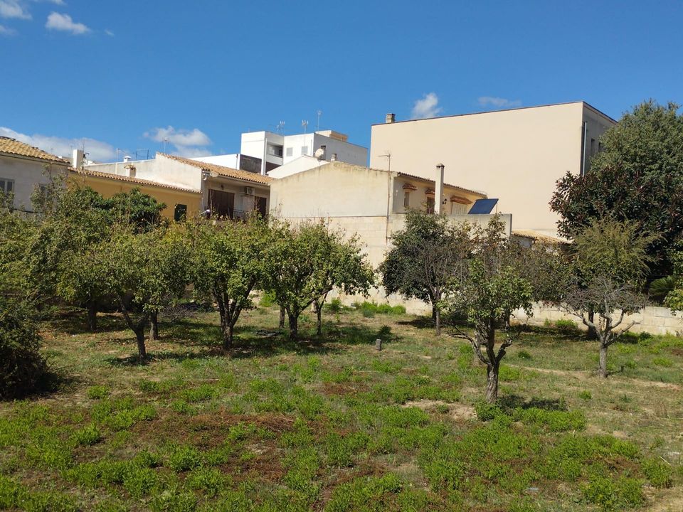 Tomt i Lloseta, Mallorca - bilde 1