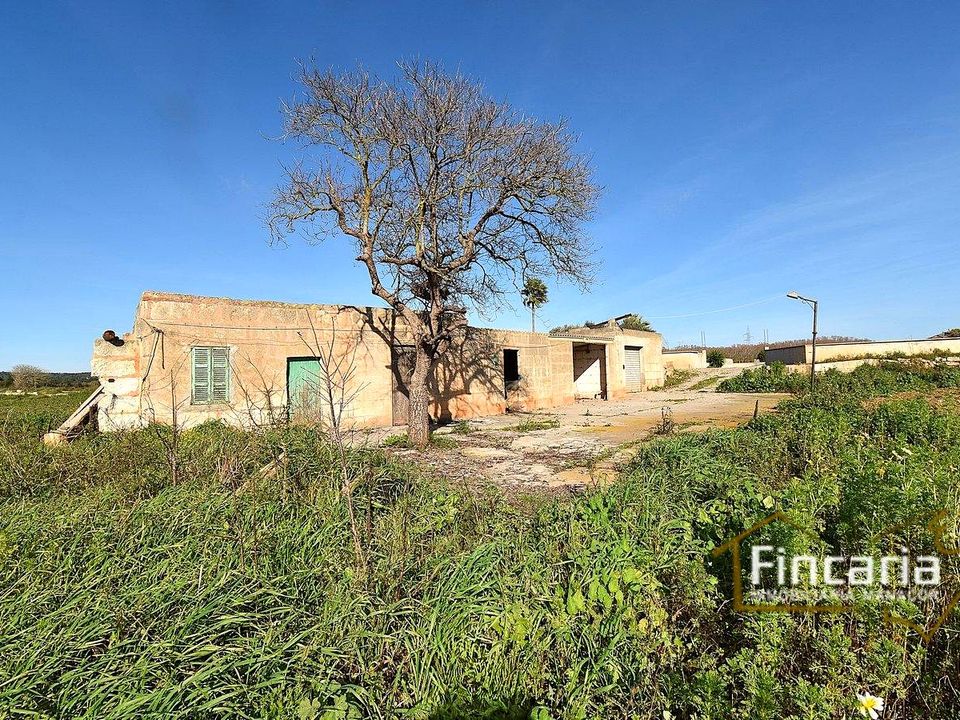 Landejendom i Manacor, Mallorca - foto 5