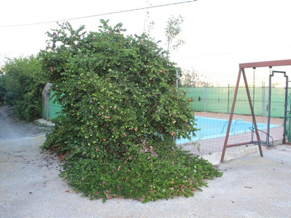 Finca i Motril, Granada - foto 4