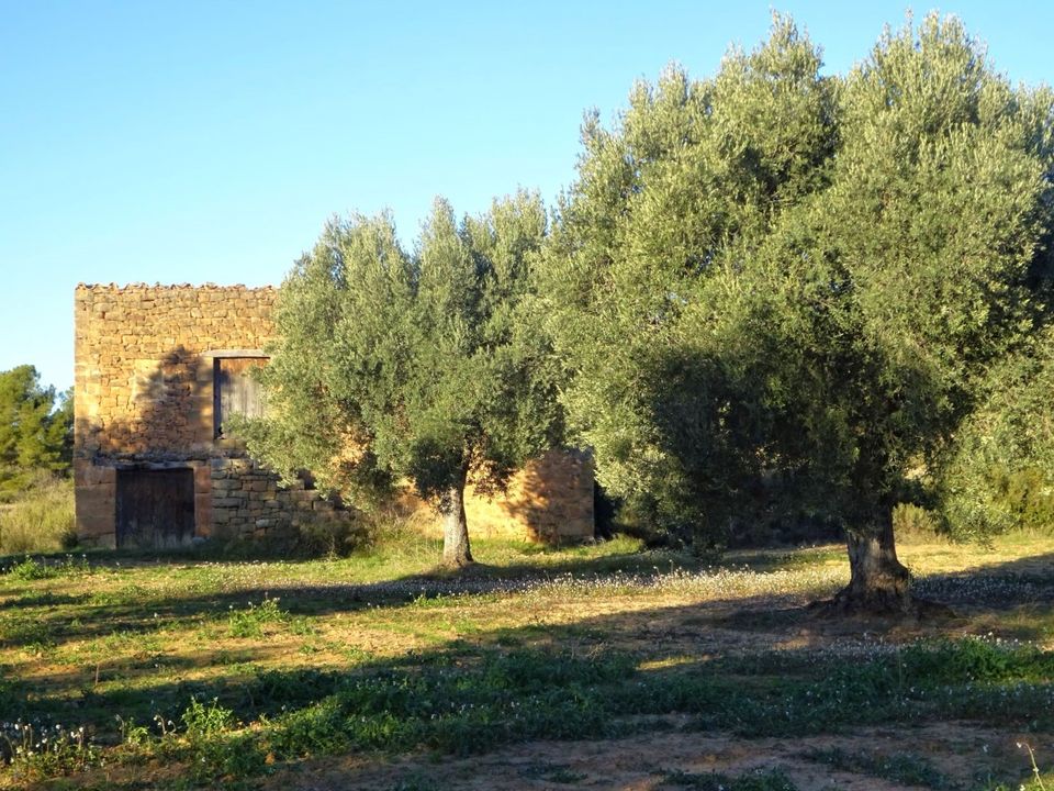 Finca i Maella, Zaragoza - foto 1