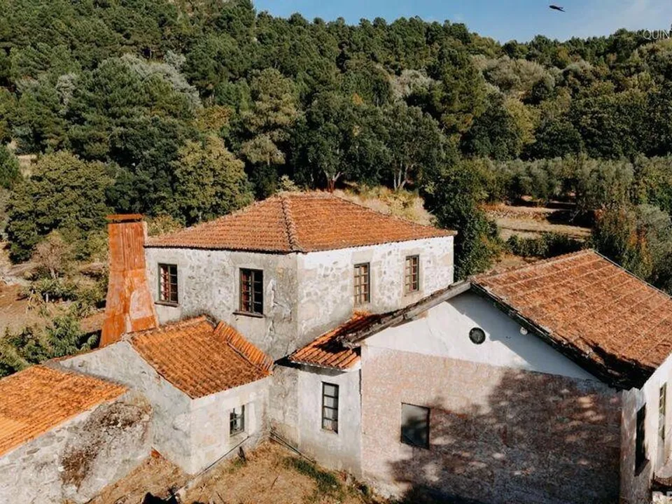 Gård i Tabuaco, Viseu - bilde 3