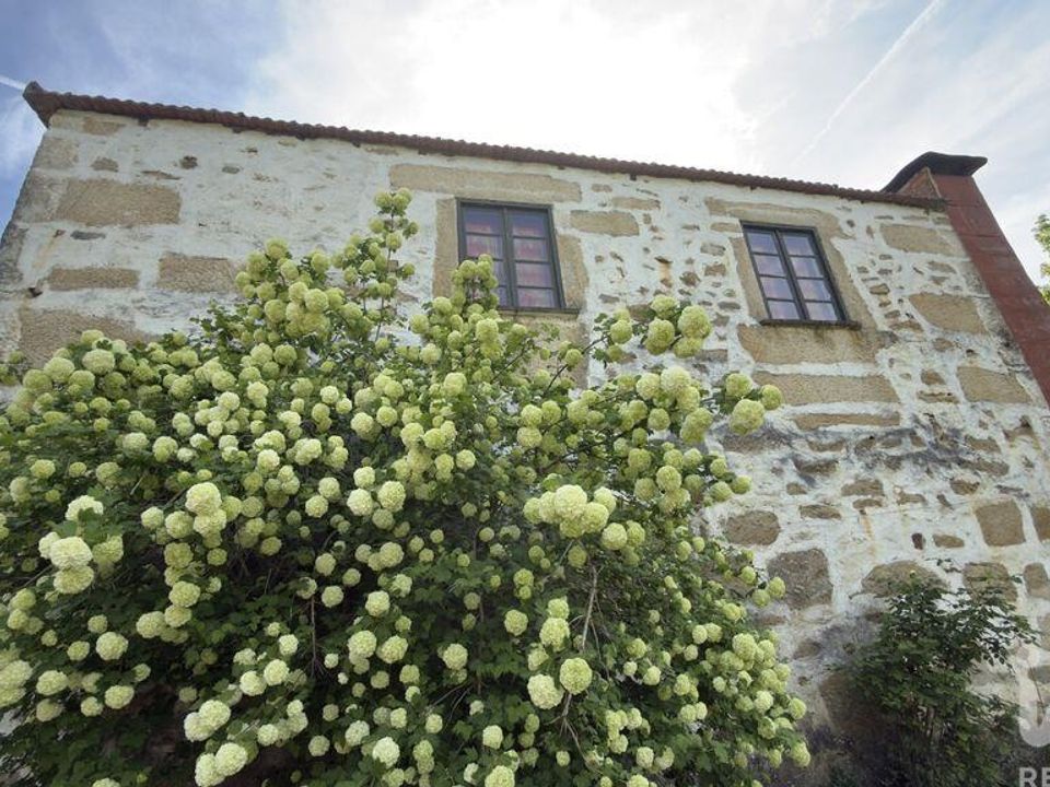 Gård i Tabuaco, Viseu - bilde 1