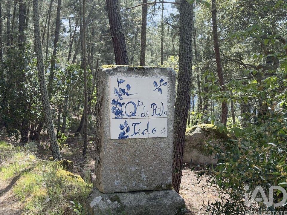 Gård i Tabuaco, Viseu - bilde 4
