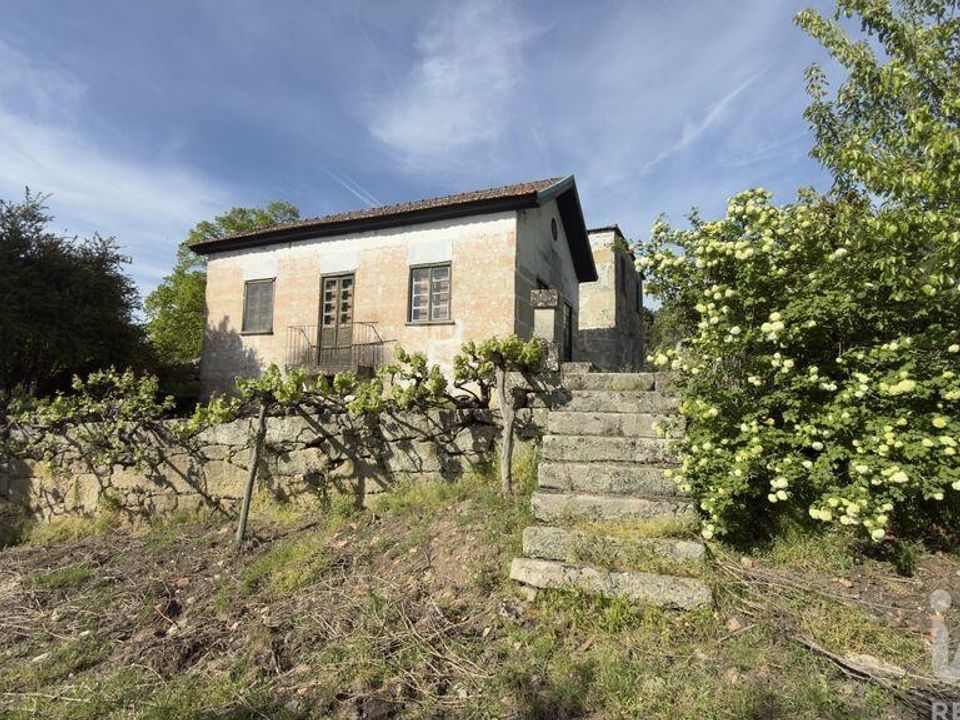 Gård i Tabuaco, Viseu - bilde 5