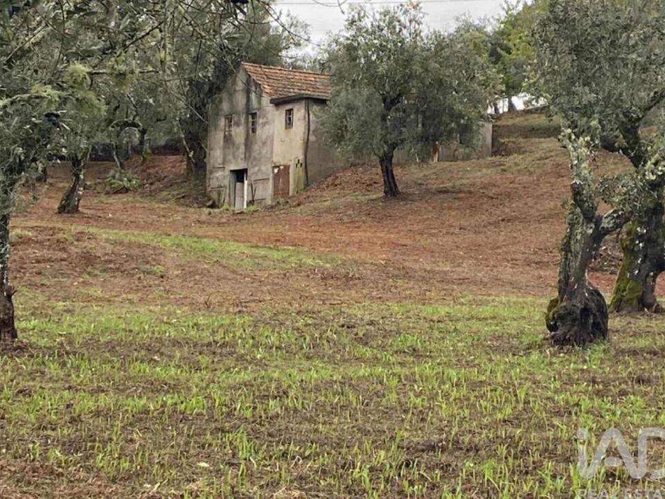 Byhus i Serta, Castelo Branco - foto 1