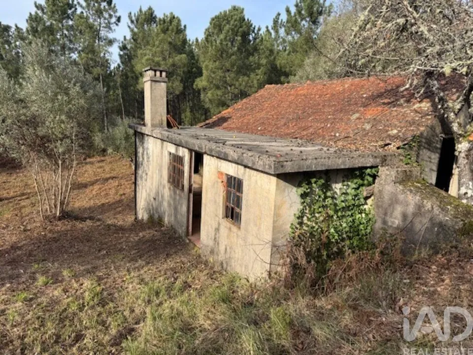 Byhus i Serta, Castelo Branco - foto 3