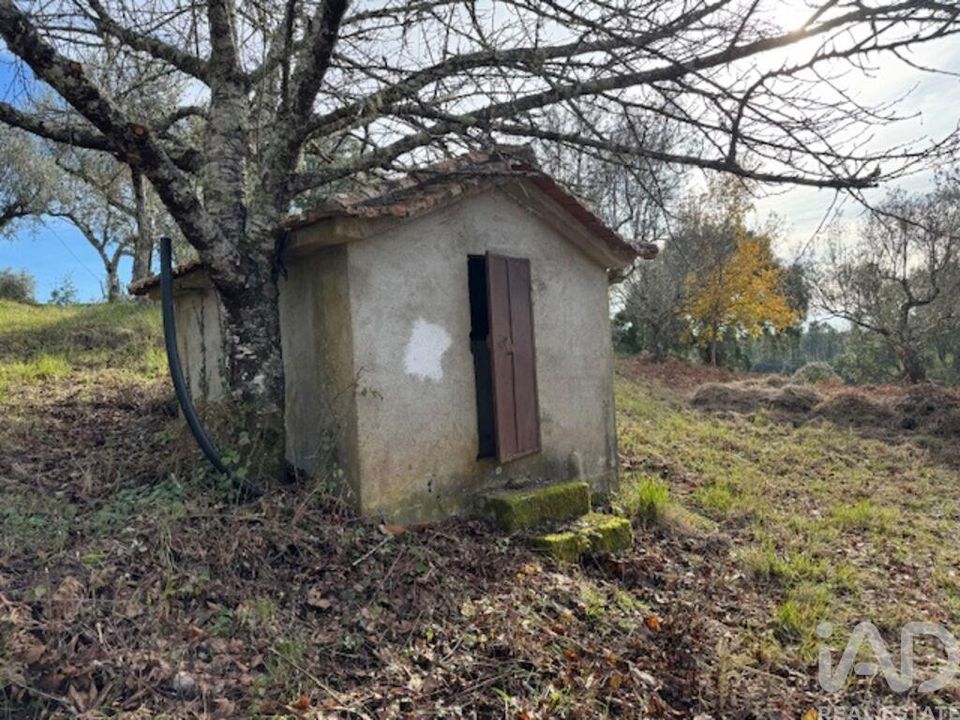 Byhus i Serta, Castelo Branco - foto 4