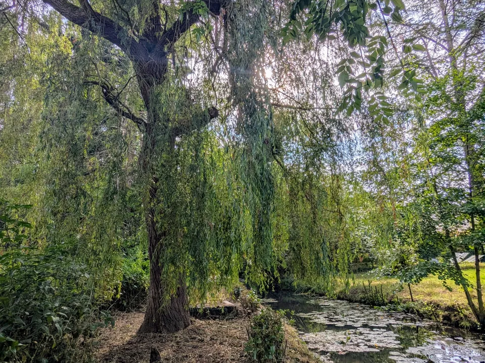 Helårsgrund i Landes-le-Gaulois, Loir-et-Cher - foto 3