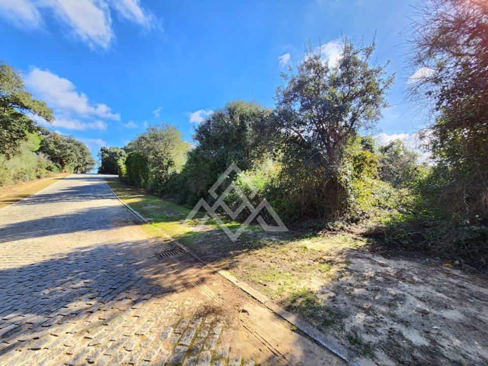 Helårsgrund i Sotogrande, Cadiz - foto 2