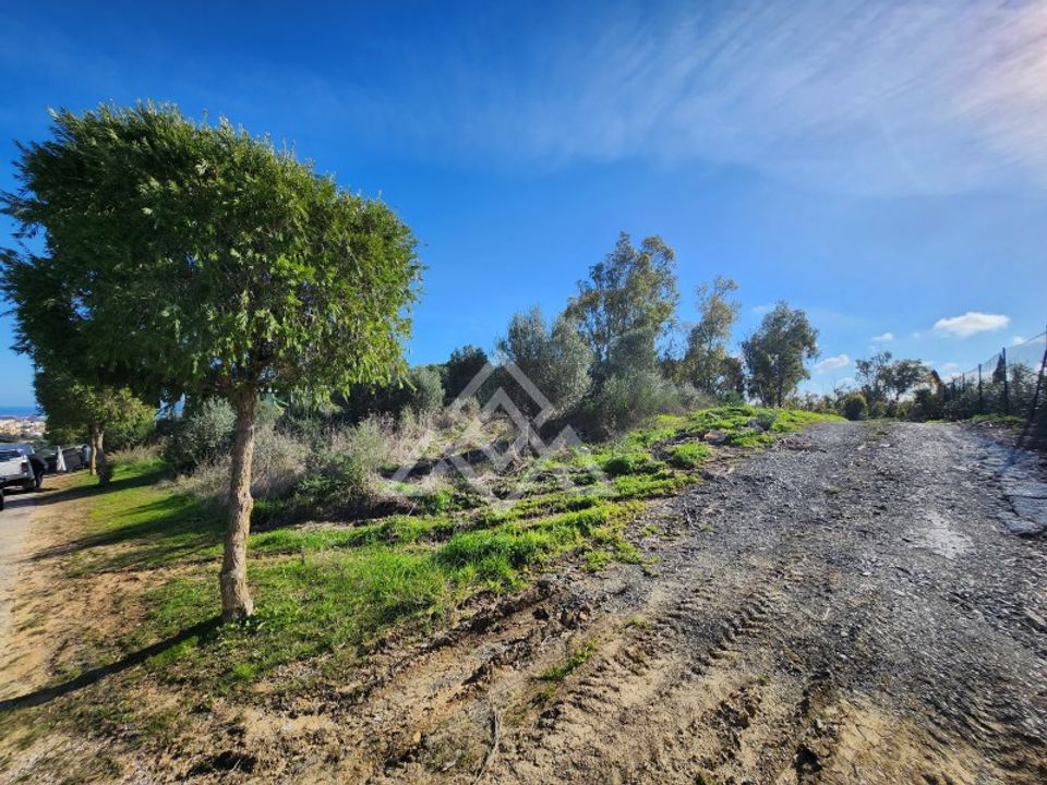 Helårsgrund i Sotogrande, Cadiz - foto 2