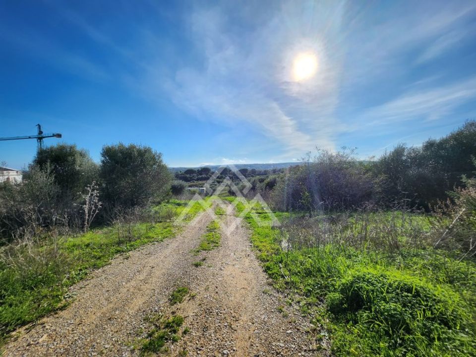 Helårsgrund i Sotogrande, Cadiz - foto 1