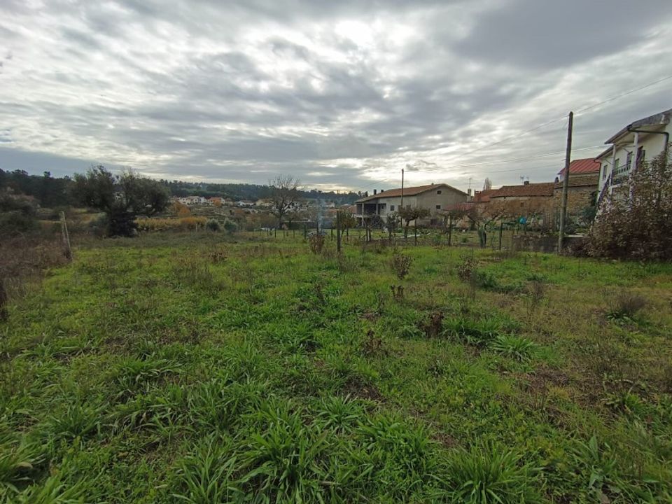 Helårsgrund i Santar e Moreira, Viseu - foto 5