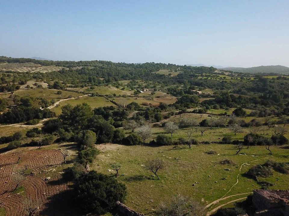 Landejendom i Sant Llorenc Des Cardassar, Mallorca - foto 3