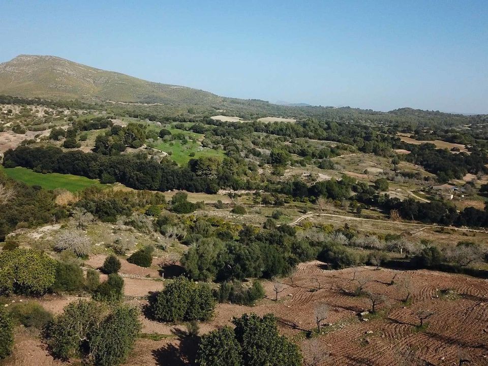 Landejendom i Sant Llorenc Des Cardassar, Mallorca - foto 4