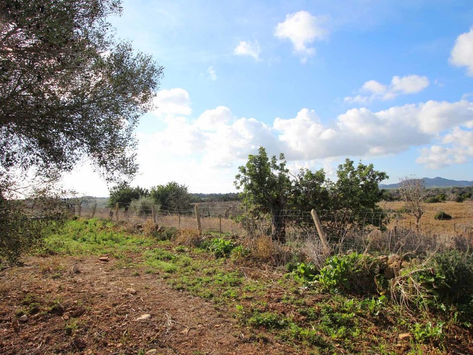 Landejendom i Cala Murada, Mallorca - foto 3