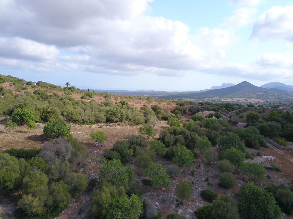 Tomt i Manacor, Mallorca - bilde 3