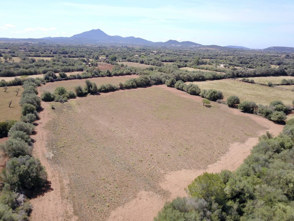 Helårsgrund i Felanitx, Mallorca - foto 5