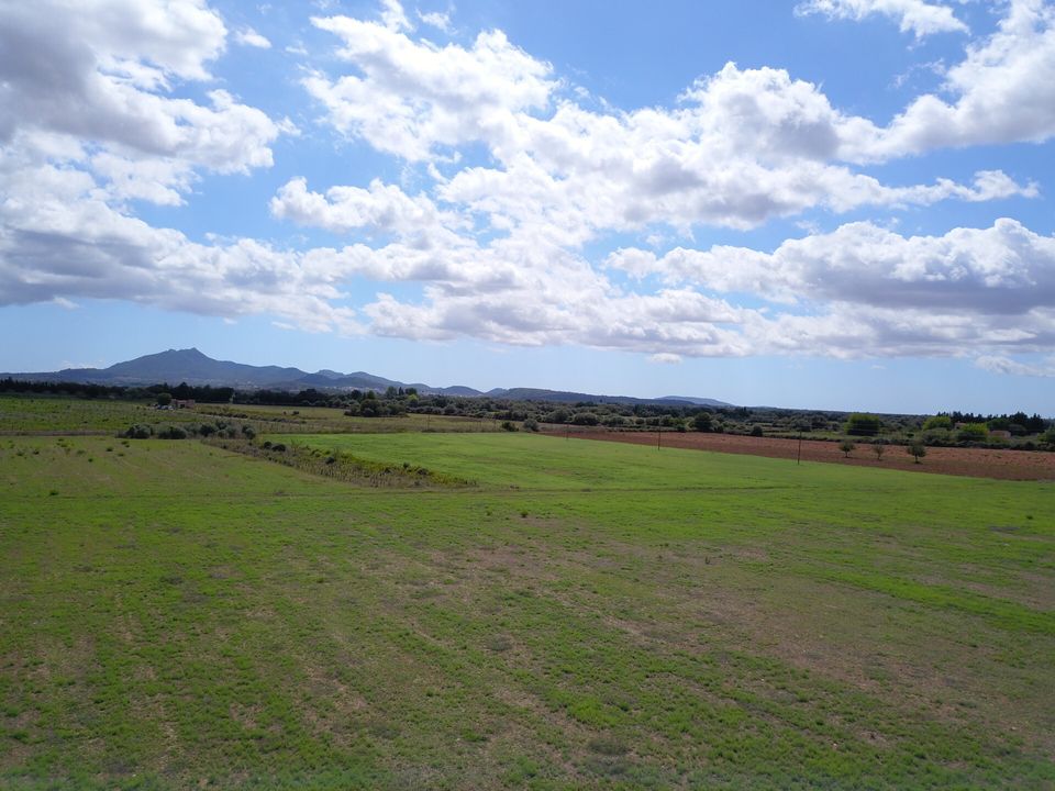 Helårsgrund i Felanitx, Mallorca - foto 4