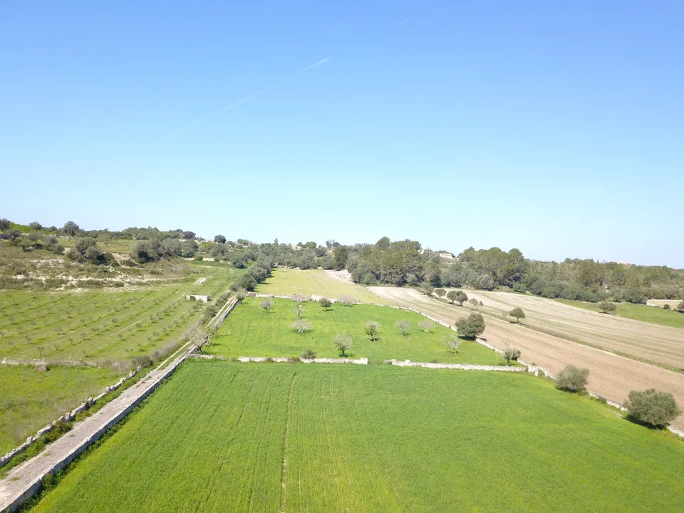 Helårsgrund i Ariany, Mallorca - foto 2