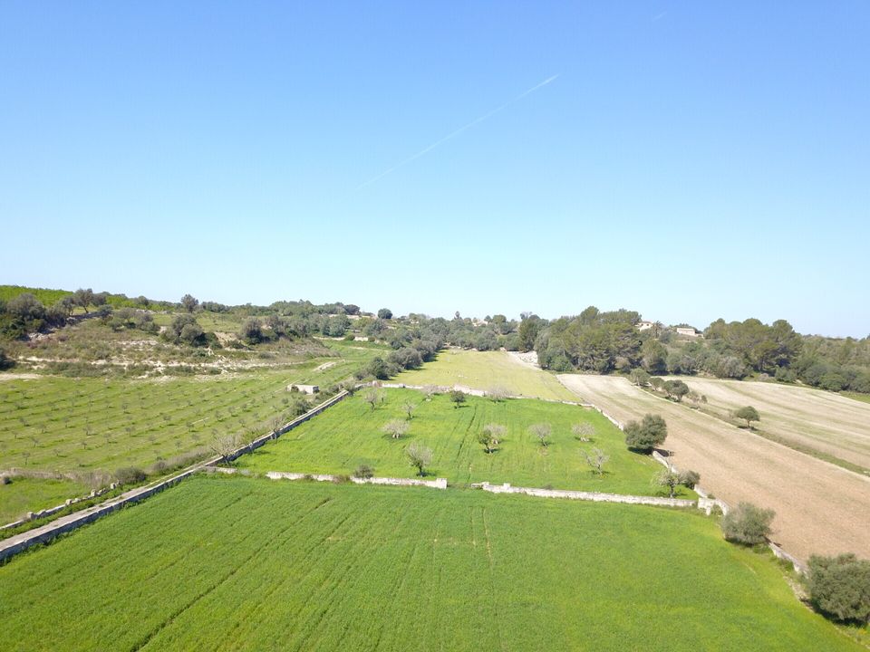 Helårsgrund i Ariany, Mallorca - foto 3