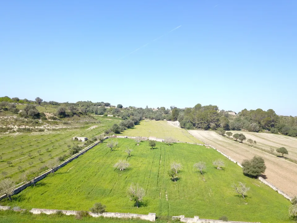 Helårsgrund i Ariany, Mallorca - foto 4