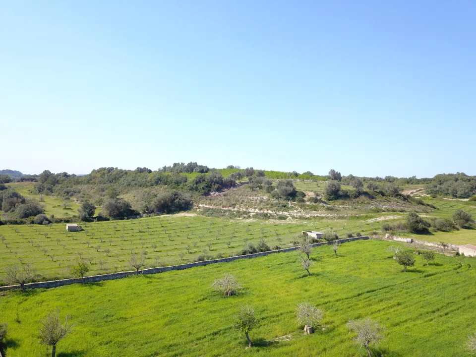Helårsgrund i Ariany, Mallorca - foto 5