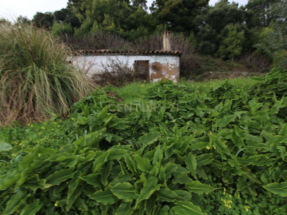 Villa i Monchique, Faro - foto 1