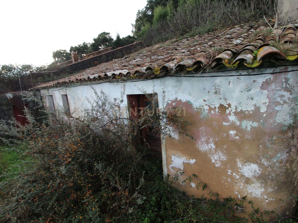 Villa i Monchique, Faro - foto 4