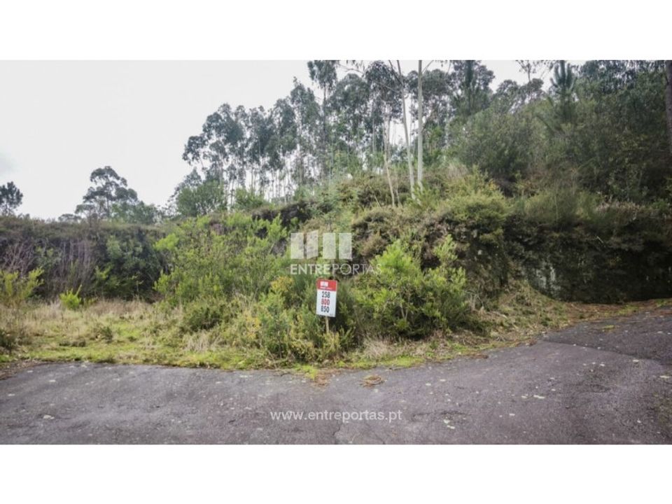 Helårsgrund i Outeiro, Viana do Castelo - foto 4