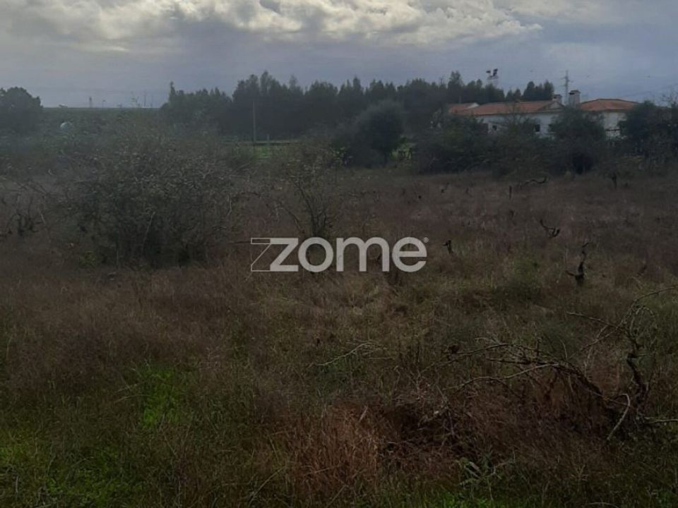 Helårsgrund i Palmela, Setubal - foto 4