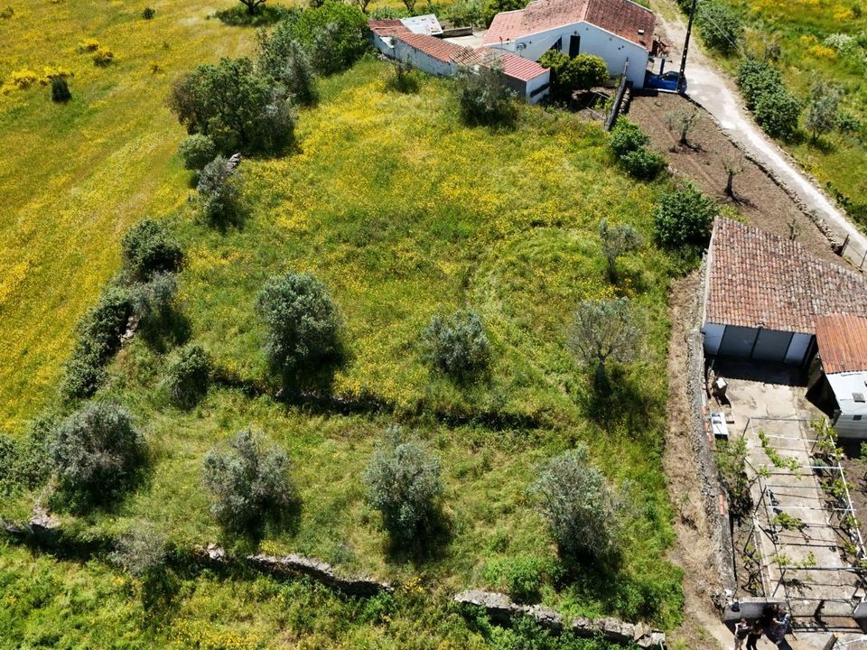 Tomt i Gaviao, Portalegre - bilde 1