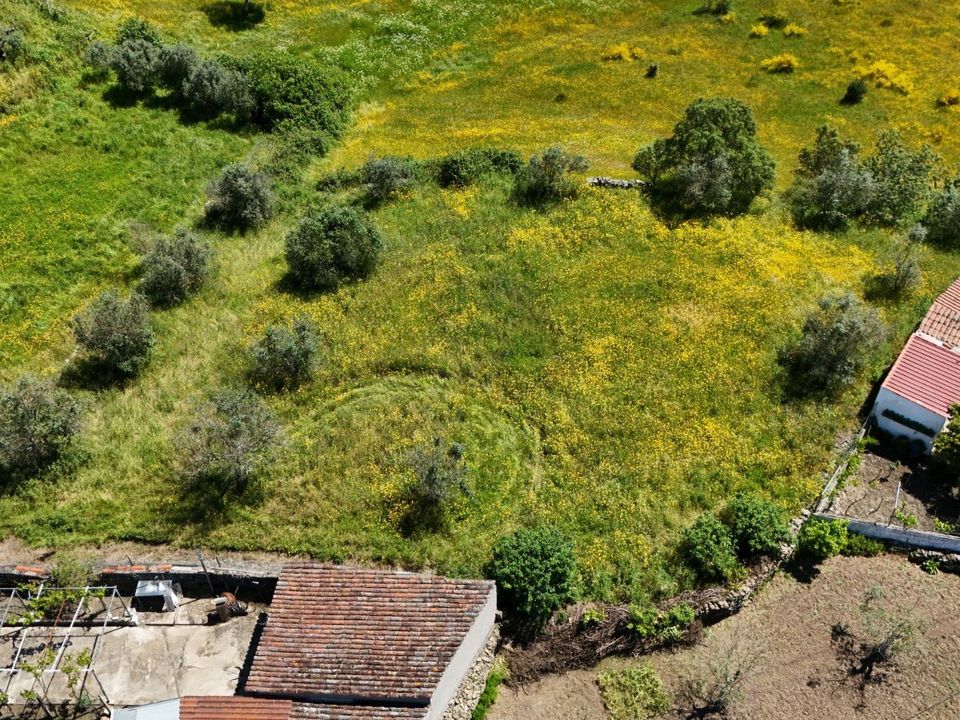 Tomt i Gaviao, Portalegre - bilde 4
