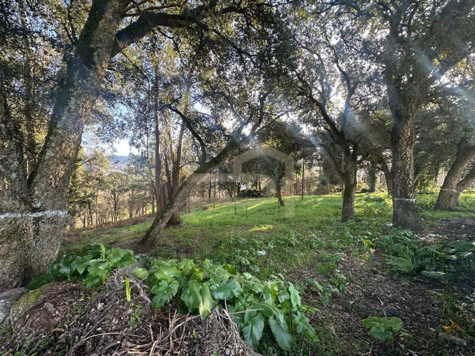 Helårsgrund i Santo Tirso, Porto - foto 2