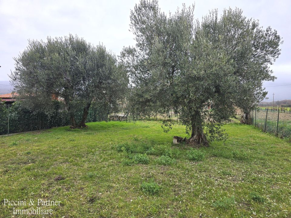 Lejlighed i Tuoro sul Trasimeno, Perugia - foto 1