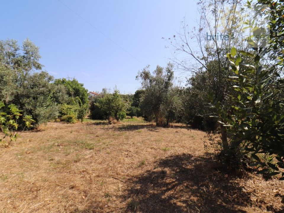 Landejendom i Serra, Santarem - foto 5