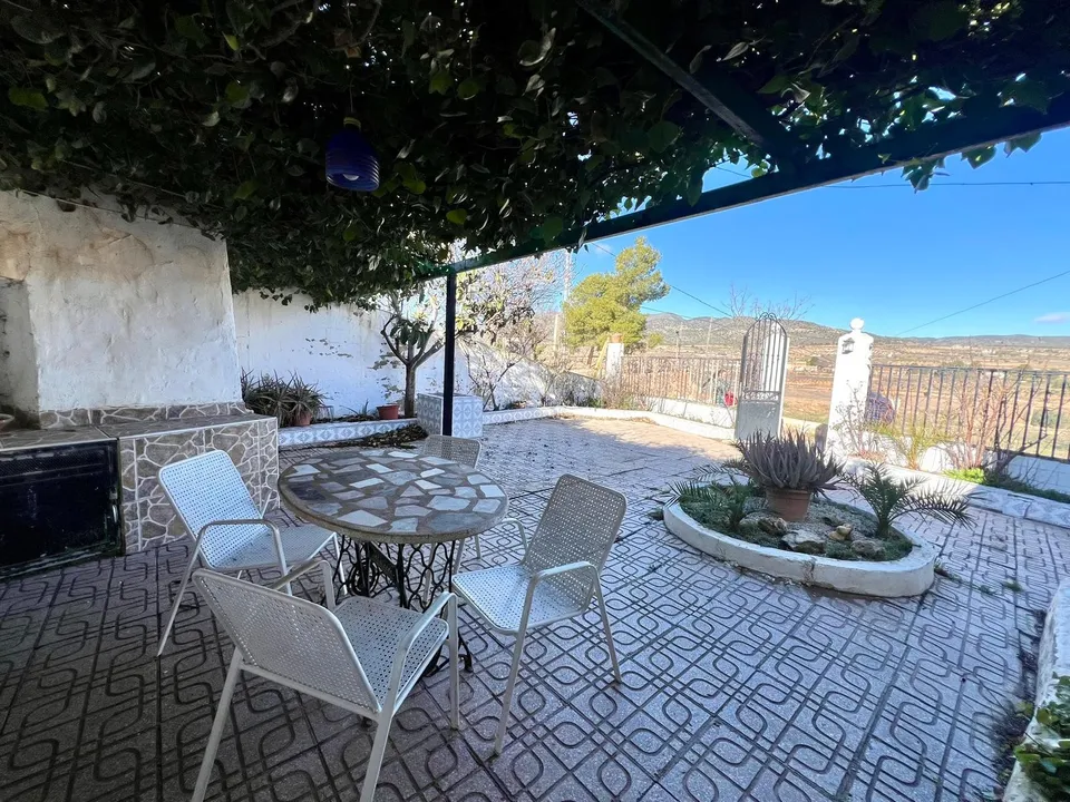 Landejendom i Pinoso, Alicante - foto 1