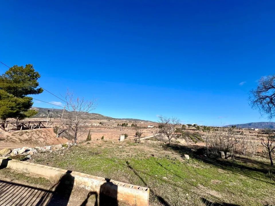 Landejendom i Pinoso, Alicante - foto 4