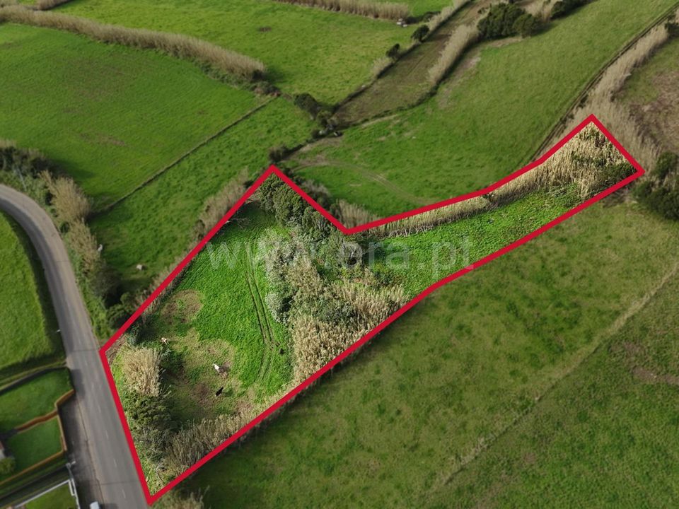 Terreno en Horta, Faial - foto 4