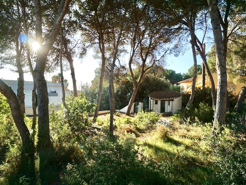 Tomt i Moraira, Alicante - bilde 2