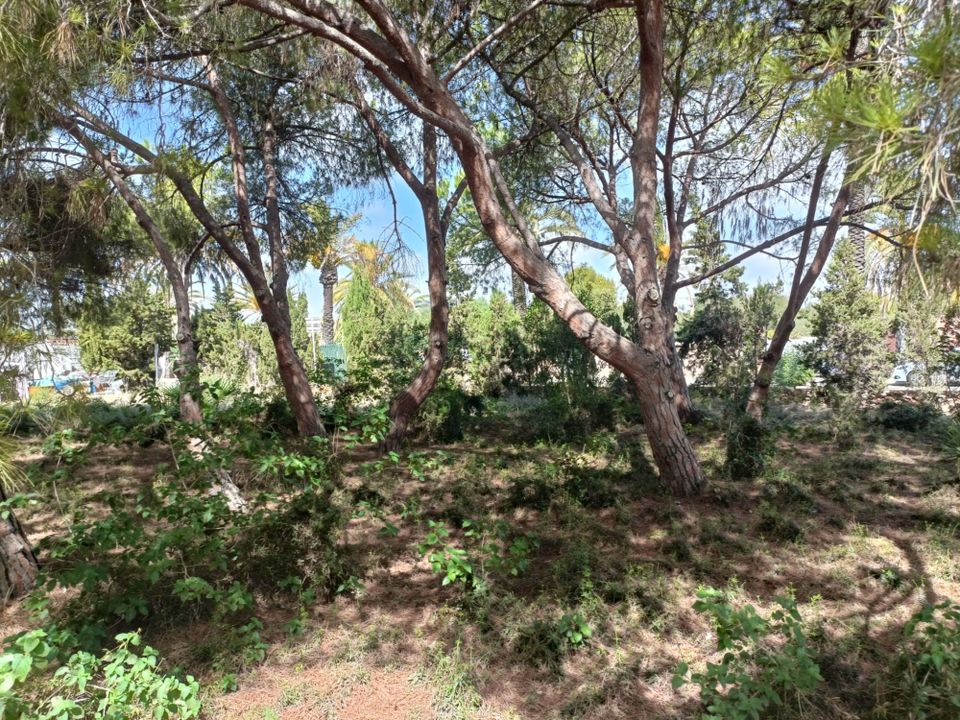 Helårsgrund i Cabo Roig, Alicante - foto 4