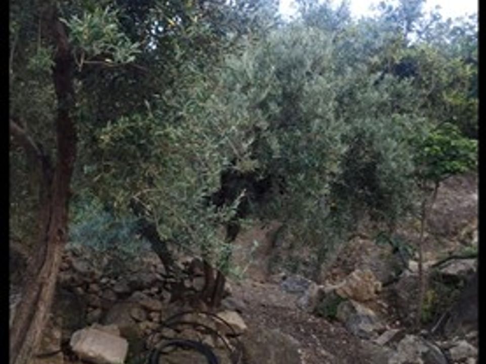 Helårsgrund i Izbor, Granada - foto 1