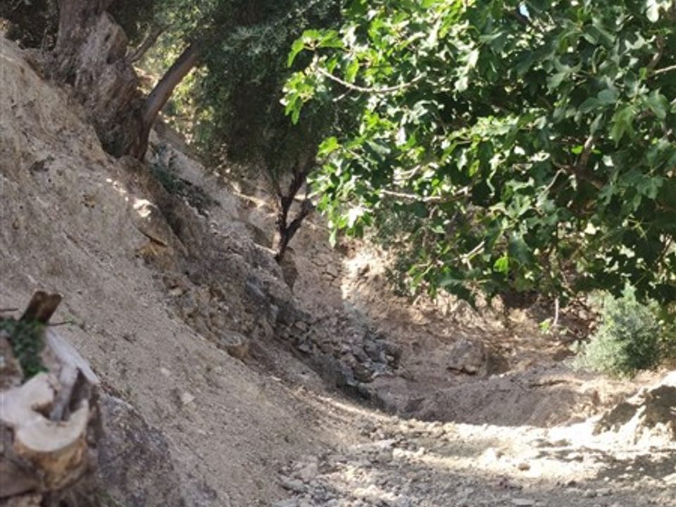 Helårsgrund i Izbor, Granada - foto 3