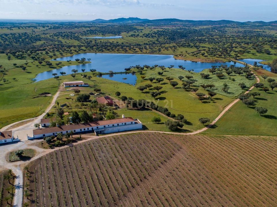 Farm hus i Alandroal, Evora - foto 5