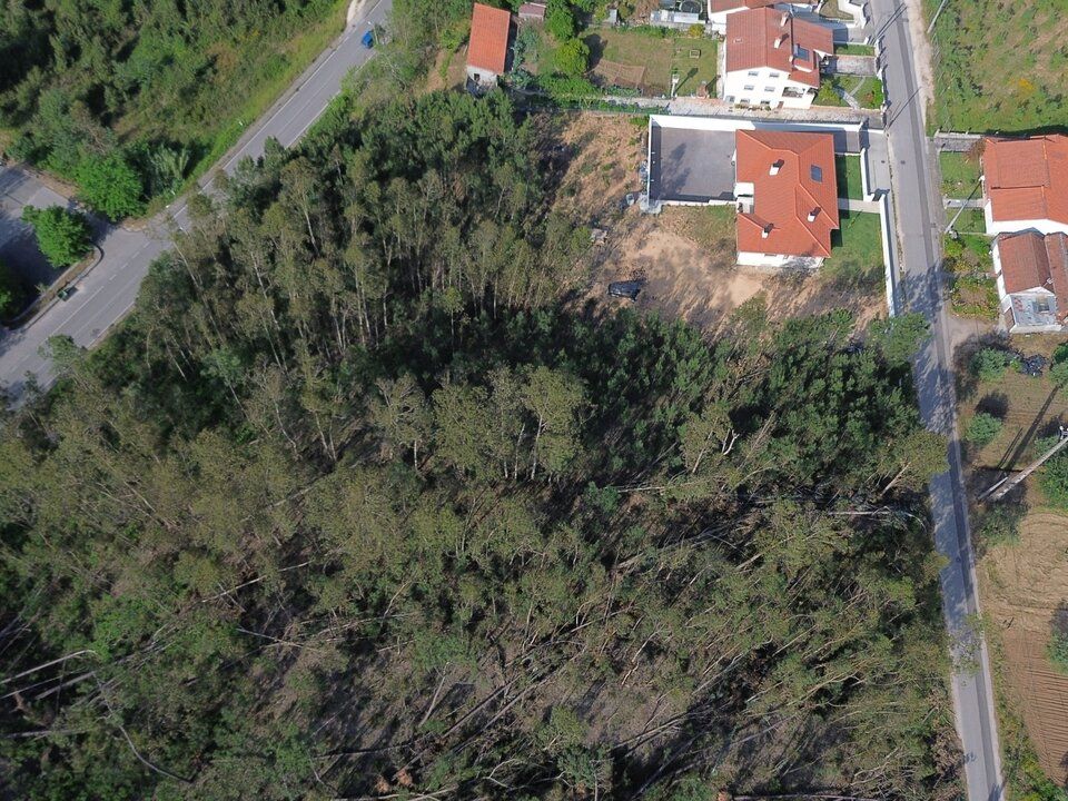 Helårsgrund i Pombal, Leiria - foto 1