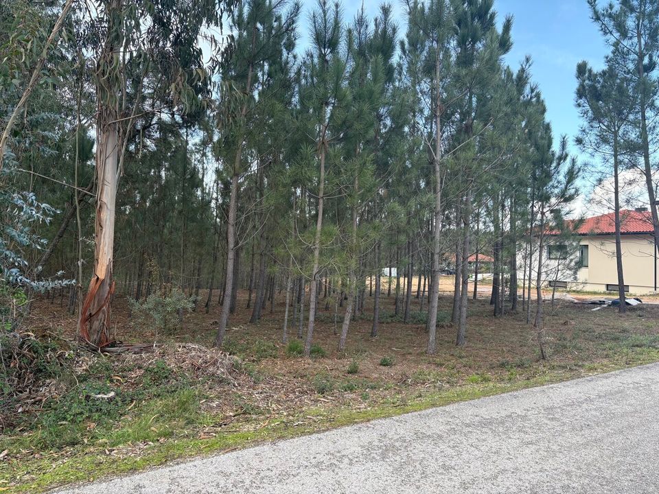 Helårsgrund i Pombal, Leiria - foto 5