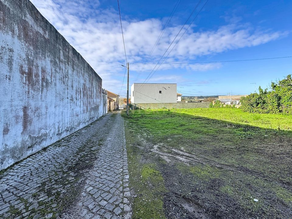 Helårsgrund i Alcobaca, Leiria - foto 4